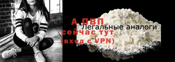 дживик Михайловск